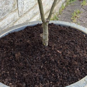 12Kg Bag Worm Mulch